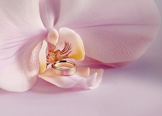 JPG 편집이미지 꽃잎 결혼 사람없음 보라색 우아함 결혼반지 다이아몬드 편집소스 편집실사 AI포토 AI콘텐츠 꽃 컬러 컨셉 이벤트 반지 보석 CG 파일형식