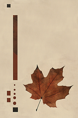 JPG 단풍 낙엽 일러스트 나뭇잎 수채화 사람없음 갈색 사각형 가을 빈티지 원형 질감 복고 베이지색 미니멀 국내일러스트 AI일러스트 AI콘텐츠 도형 계절 컬러 컨셉 잎 파일형식