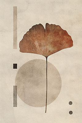 JPG 낙엽 일러스트 나뭇잎 수채화 사람없음 갈색 가을 빈티지 원형 질감 복고 은행잎 베이지색 미니멀 국내일러스트 AI일러스트 AI콘텐츠 도형 계절 컬러 컨셉 잎 파일형식