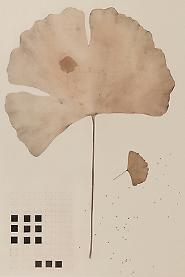 JPG 낙엽 일러스트 나뭇잎 수채화 사람없음 갈색 가을 빈티지 질감 복고 은행잎 베이지색 미니멀 국내일러스트 AI일러스트 AI콘텐츠 계절 컬러 컨셉 잎 파일형식