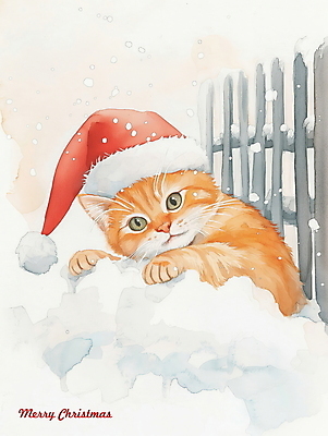 PSD 크리스마스 겨울 일러스트 산타모자 수채화 사람없음 울타리 고양이 눈 그림 반려묘 국내일러스트 자연요소 모자_잡화 계절 기념일 포유류 날씨 담장 반려동물 파일형식