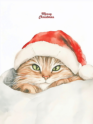 PSD 크리스마스 겨울 일러스트 산타모자 수채화 사람없음 고양이 담요 그림 반려묘 국내일러스트 모자_잡화 계절 기념일 포유류 반려동물 파일형식
