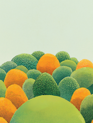 JPG 나무 일러스트 단풍나무 초원 사람없음 초록색 원형 숲 언덕 둥근모양 국내일러스트 AI일러스트 AI콘텐츠 모양 도형 식물 컬러 단풍 파일형식