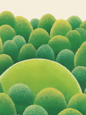 JPG 나무 일러스트 초원 사람없음 초록색 원형 숲 둥근모양 국내일러스트 AI일러스트 AI콘텐츠 모양 도형 식물 컬러 파일형식