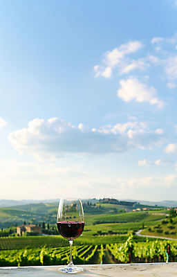 JPG 편집이미지 와인잔 하늘 포도 사람없음 야외 농장 와인 포도밭 숙성 편집실사 AI포토 AI콘텐츠 밭 농업 술잔 과일 주류 CG 파일형식