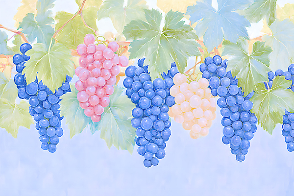 JPG 일러스트 포도 색연필 수채화 사람없음 파란색 물감 나뭇가지 그림 포도밭 파스텔톤 포도넝쿨 포도잎 국내일러스트 AI일러스트 AI콘텐츠 나무 컬러 잎 밭 과일 학용품 미술도구 덩굴 파일형식