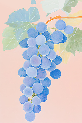 JPG 무료이미지 일러스트 포도 색연필 수채화 사람없음 파란색 물감 나뭇가지 그림 포도밭 파스텔톤 포도넝쿨 포도잎 국내일러스트 AI일러스트 AI콘텐츠 나무 컬러 잎 밭 과일 학용품 미술도구 덩굴 파일형식
