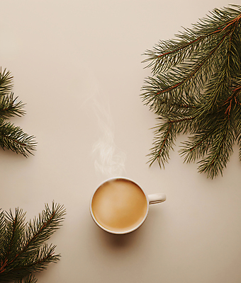 JPG 편집이미지 사람없음 갈색 원두 분위기 수증기 커피잔 솔잎 라떼 편집실사 AI포토 AI콘텐츠 커피 컬러 컨셉 잎 잔 CG 파일형식