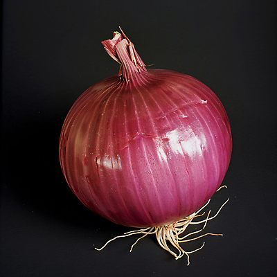 JPG 편집이미지 식재료 사람없음 적양파 편집실사 AI포토 AI콘텐츠 양파 CG 파일형식