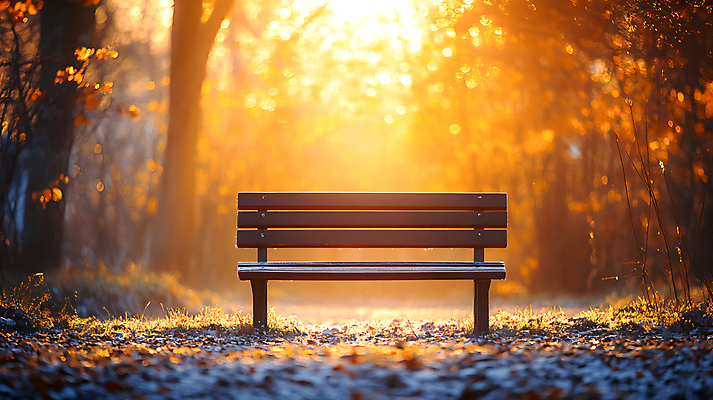 JPG 편집이미지 공원 단풍 낙엽 벤치 사람없음 야외 햇빛 노을 가을 편집실사 AI포토 AI콘텐츠 자연요소 계절 공공시설 잎 의자 태양 CG 파일형식