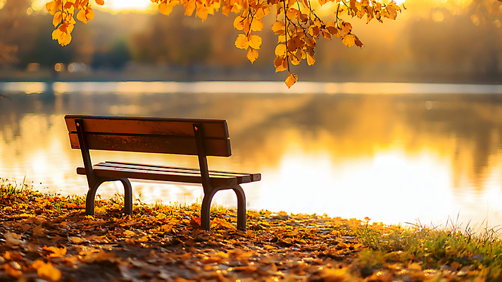 JPG 편집이미지 공원 호수 단풍 낙엽 벤치 사람없음 야외 반사 노을 가을 편집실사 AI포토 AI콘텐츠 자연요소 계절 공공시설 잎 의자 CG 파일형식