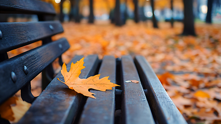 JPG 편집이미지 공원 단풍 낙엽 벤치 사람없음 야외 가을 편집실사 AI포토 AI콘텐츠 계절 공공시설 잎 의자 CG 파일형식