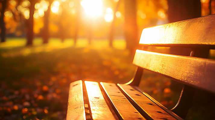 JPG 편집이미지 공원 단풍 낙엽 벤치 사람없음 야외 노을 가을 편집실사 AI포토 AI콘텐츠 자연요소 계절 공공시설 잎 의자 CG 파일형식