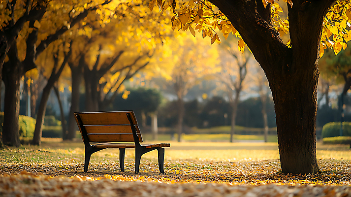 JPG 편집이미지 공원 단풍 낙엽 벤치 단풍나무 사람없음 야외 가을 편집실사 AI포토 AI콘텐츠 나무 계절 공공시설 잎 의자 CG 파일형식