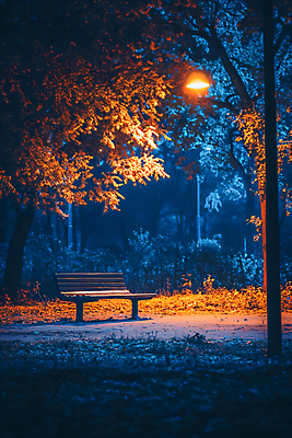 JPG 편집이미지 공원 단풍 낙엽 가로등 벤치 단풍나무 사람없음 야외 빛 가을 야간 가로수 편집실사 AI포토 AI콘텐츠 자연요소 나무 계절 공공시설 잎 의자 CG 파일형식