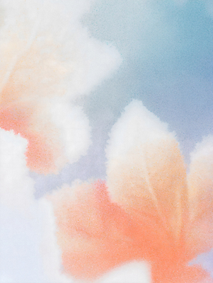 JPG 일러스트 자연 나뭇잎 사람없음 파란색 주황색 가을 서리 상강 국내일러스트 AI일러스트 AI콘텐츠 계절 컬러 잎 절기 생태계 파일형식