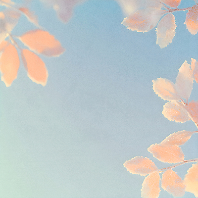 JPG 일러스트 자연 나뭇잎 사람없음 파란색 주황색 가을 서리 상강 국내일러스트 AI일러스트 AI콘텐츠 계절 컬러 잎 절기 생태계 파일형식