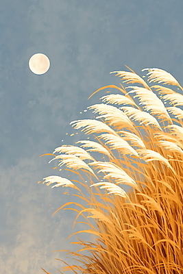 JPG 일러스트 자연 풍경 사람없음 갈색 달 가을 갈대밭 국내일러스트 AI일러스트 AI콘텐츠 자연요소 계절 컬러 생태계 파일형식 갈대_식물