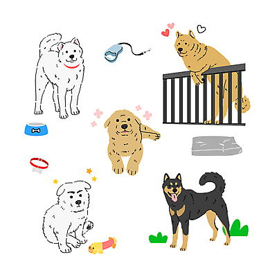 반려견 일러스트 사람없음 골든리트리버 강아지 애견용품 목줄 진돗개 개밥그릇 국내일러스트 AI파일 그릇 반려동물 개 리트리버 파일형식 벡터 반려용품