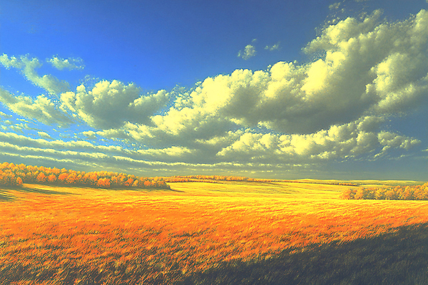 JPG 구름 편집이미지 단풍 자연 하늘 풍경 초원 사람없음 노을 가을 편집실사 AI포토 AI콘텐츠 자연요소 계절 잎 CG 생태계 파일형식