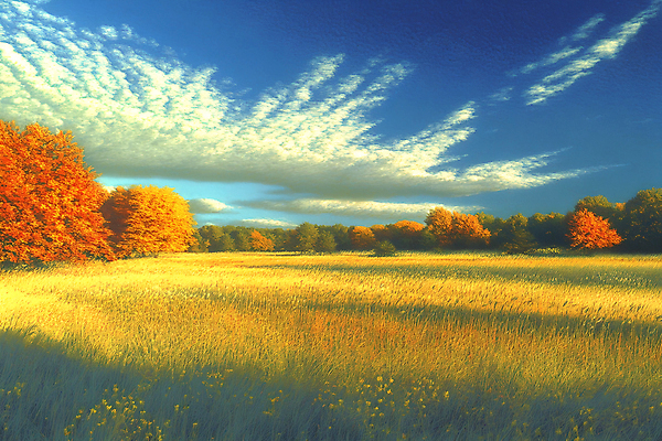 JPG 구름 편집이미지 단풍 자연 하늘 단풍나무 그림자 풍경 잔디 초원 사람없음 가을 편집실사 AI포토 AI콘텐츠 자연요소 나무 식물 계절 잎 CG 생태계 파일형식