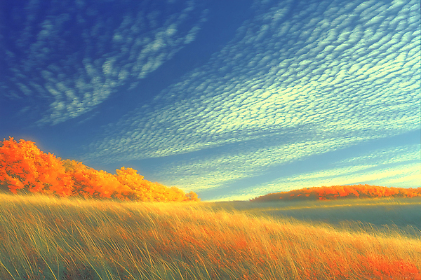 JPG 구름 편집이미지 단풍 자연 하늘 단풍나무 풍경 잔디 초원 사람없음 가을 편집실사 AI포토 AI콘텐츠 자연요소 나무 식물 계절 잎 CG 생태계 파일형식