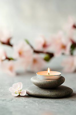 JPG 편집이미지 사람없음 아웃포커스 스파 조약돌 오브젝트 아로마 향초 아로마테라피 꽃가지 편집실사 AI포토 AI콘텐츠 꽃 초 촬영기법 돌_바위 나뭇가지 CG 테라피 파일형식