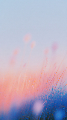 JPG 식물 편집이미지 사람없음 빨간색 파란색 언덕 감성 편집실사 AI컴퓨터그래픽 AI콘텐츠 컬러 컨셉 CG 파일형식