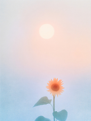 JPG 편집이미지 하늘 해바라기 사람없음 햇빛 태양 감성 편집실사 AI포토 AI콘텐츠 자연요소 꽃 컨셉 CG 파일형식