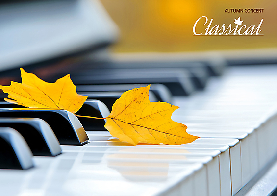 PSD 편집이미지 음악 단풍 낙엽 사람없음 가을 피아노 음악회 이미지편집 계절 잎 문화예술 공연 건반악기 파일형식