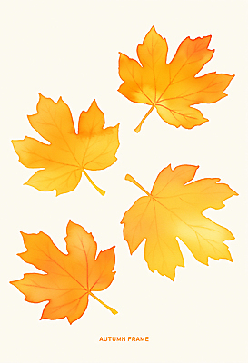 PSD 단풍 낙엽 패턴 일러스트 자연 사람없음 컬러풀 가을 국내일러스트 계절 컬러 잎 무늬 생태계 파일형식