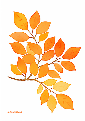 PSD 단풍 낙엽 일러스트 자연 사람없음 컬러풀 가을 나뭇가지 국내일러스트 나무 계절 컬러 잎 생태계 파일형식