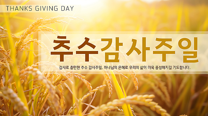 PSD 편집이미지 기독교 사람없음 햇빛 노란색 추수 벼 쌀 가을 일주일 감사 예배 추수감사절 벼농사 이미지편집 계절 감정 종교 컬러 농업 곡류 태양 농사 파일형식
