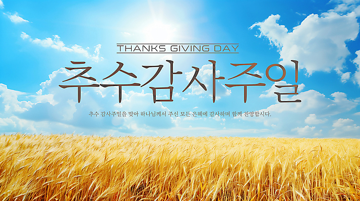 PSD 편집이미지 기독교 하늘색 하늘 사람없음 추수 벼 쌀 가을 일주일 감사 예배 추수감사절 벼농사 이미지편집 계절 감정 종교 농업 곡류 파란색 농사 파일형식