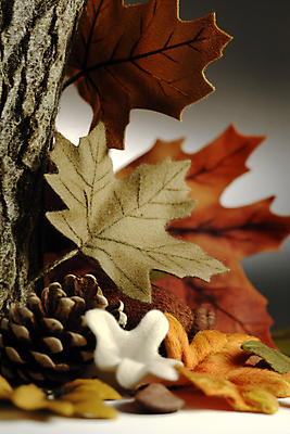 JPG 편집이미지 낙엽 사람없음 장식 가을 공예 디지털합성 오브젝트 오브제 펠트 편집실사 AI포토 AI콘텐츠 계절 잎 취미 CG 파일형식 천_직물