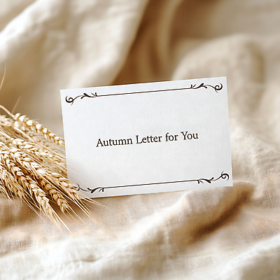 PSD 편집이미지 갈대 사람없음 가을 편지 천 이미지편집 편집실사 카드프레임 식물 계절 프레임 직물 CG 파일형식