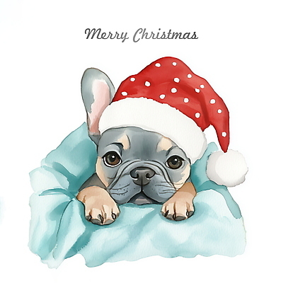 PSD 크리스마스 겨울 일러스트 산타모자 수채화 사람없음 산타클로스 강아지 담요 프렌치불독 국내일러스트 모자_잡화 계절 기념일 반려동물 개 불독 파일형식