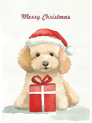 PSD 크리스마스 겨울 일러스트 산타모자 수채화 사람없음 선물상자 산타클로스 강아지 푸들 국내일러스트 모자_잡화 계절 기념일 선물 반려동물 상자 개 파일형식