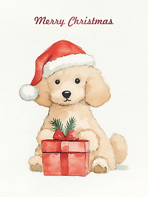 PSD 크리스마스 겨울 일러스트 산타모자 수채화 사람없음 선물상자 산타클로스 강아지 푸들 국내일러스트 모자_잡화 계절 기념일 선물 반려동물 상자 개 파일형식