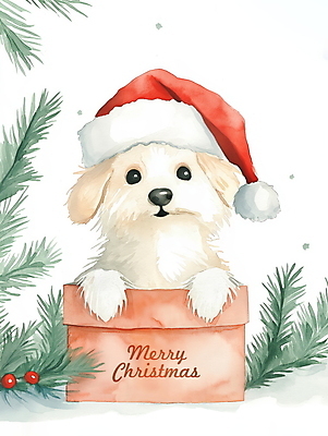 PSD 열매 크리스마스 겨울 일러스트 산타모자 나뭇잎 수채화 사람없음 상자 크리스마스트리 산타클로스 강아지 솔잎 국내일러스트 식물 모자_잡화 계절 기념일 잎 반려동물 개 파일형식