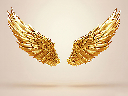 PSD 편집이미지 날개 사람없음 금색 황금 고급 중앙 균형 대칭 이미지편집 컬러 컨셉 파일형식