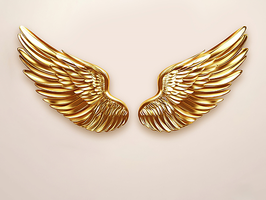 PSD 편집이미지 날개 사람없음 금색 황금 고급 중앙 균형 대칭 이미지편집 컬러 컨셉 파일형식