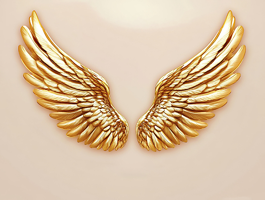 PSD 편집이미지 날개 사람없음 금색 황금 고급 중앙 균형 대칭 이미지편집 컬러 컨셉 파일형식