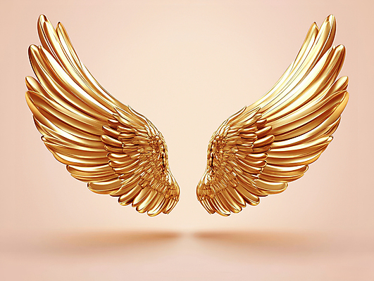 PSD 편집이미지 날개 사람없음 금색 황금 고급 중앙 균형 대칭 이미지편집 컬러 컨셉 파일형식