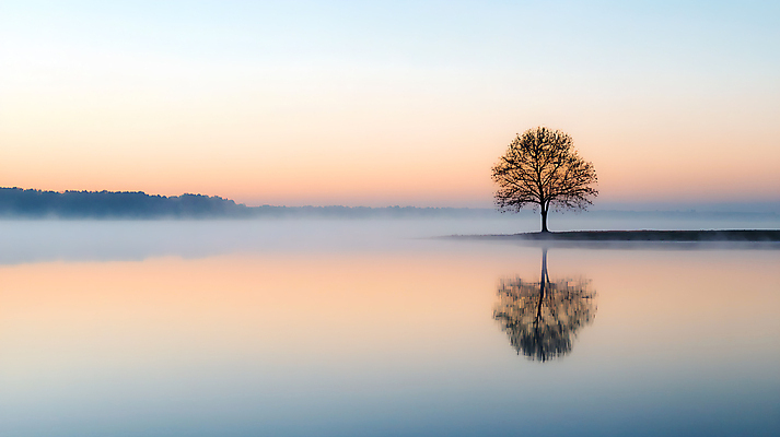 JPG 나무 편집이미지 호수 산 사람없음 강 반사 일몰 안개 편집실사 AI포토 AI콘텐츠 식물 날씨 노을 CG 파일형식