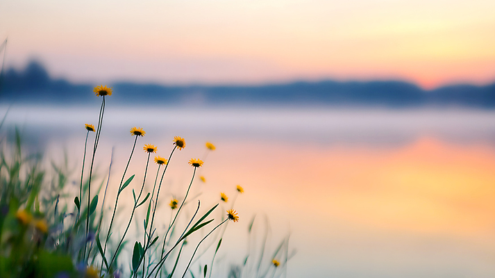 JPG 편집이미지 꽃 호수 산 사람없음 일몰 안개 편집실사 AI포토 AI콘텐츠 식물 날씨 노을 CG 파일형식