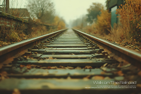 PSD 나무 편집 편집이미지 자연 주택 사람없음 기찻길 안개 이미지편집 편집실사 식물 날씨 건물 CG 생태계 파일형식