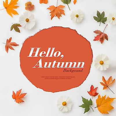 PSD 편집이미지 꽃 종이 단풍 낙엽 나뭇잎 프레임 사람없음 가을 디지털합성 원형프레임 카피스페이스 편집소스 이미지편집 식물 계절 잎 공백 원형 파일형식