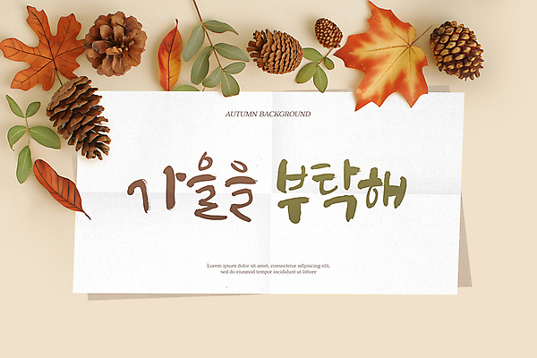 PSD 편집이미지 종이 단풍 낙엽 나뭇잎 프레임 사람없음 가을 디지털합성 솔방울 카피스페이스 편집소스 이미지편집 계절 잎 공백 파일형식