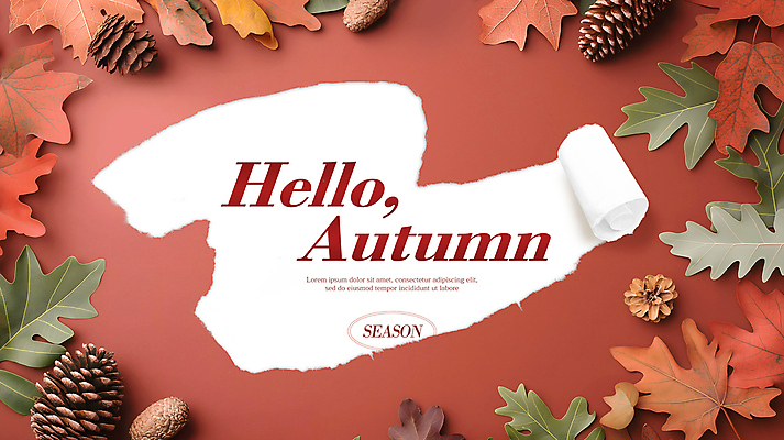 PSD 편집이미지 종이 단풍 낙엽 나뭇잎 프레임 사람없음 가을 디지털합성 솔방울 카피스페이스 편집소스 이미지편집 계절 잎 공백 파일형식
